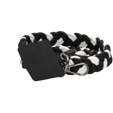 Beagles zwart wit1