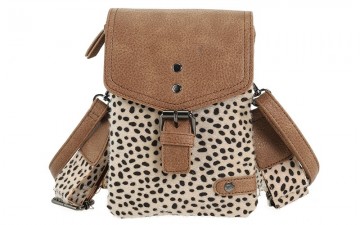 Lakewood dot camel1